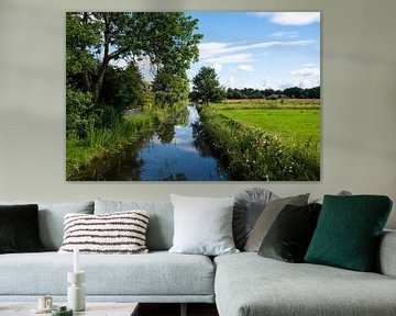 Ruisseau autour du village de Zwolle, aux Pays-Bas, avec des t sur Werner Lerooy