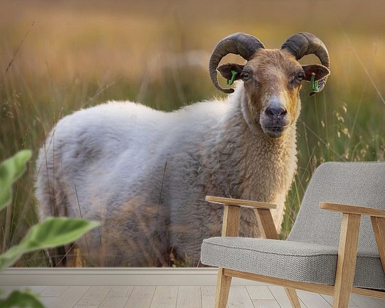 Voorbeeld van het werk in een kamer
