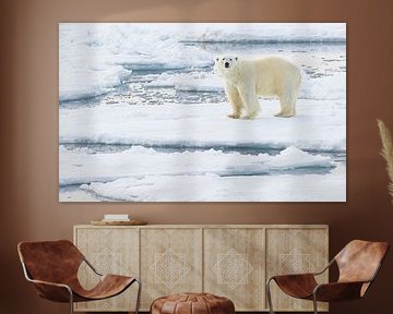 Male Polar Bear in his element by Lennart Verheuvel