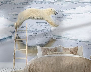 Polar bear takes the plunge by Lennart Verheuvel