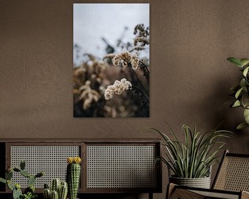 Herbe à fleurs sur Vera de Vries