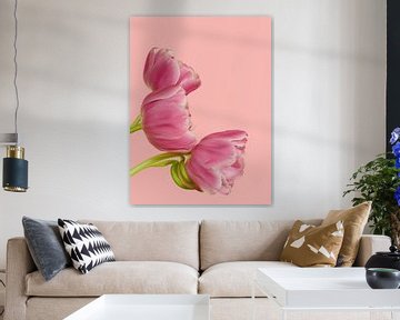 Roze tulpen trio van Michelle Coppiens