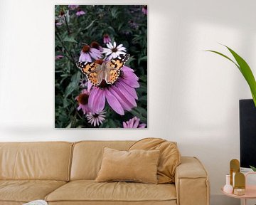 Vlinder aan de muur (distelvinder) van Esther Wagensveld