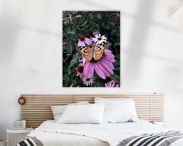 Vlinder aan de muur (distelvinder) van Esther Wagensveld