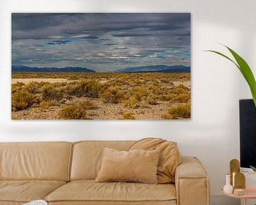 A piece of Nevada's desert landscape. by Jaap van den Berg