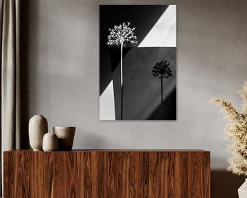 fleur en noir et blanc à haut contraste sur Remke Maris