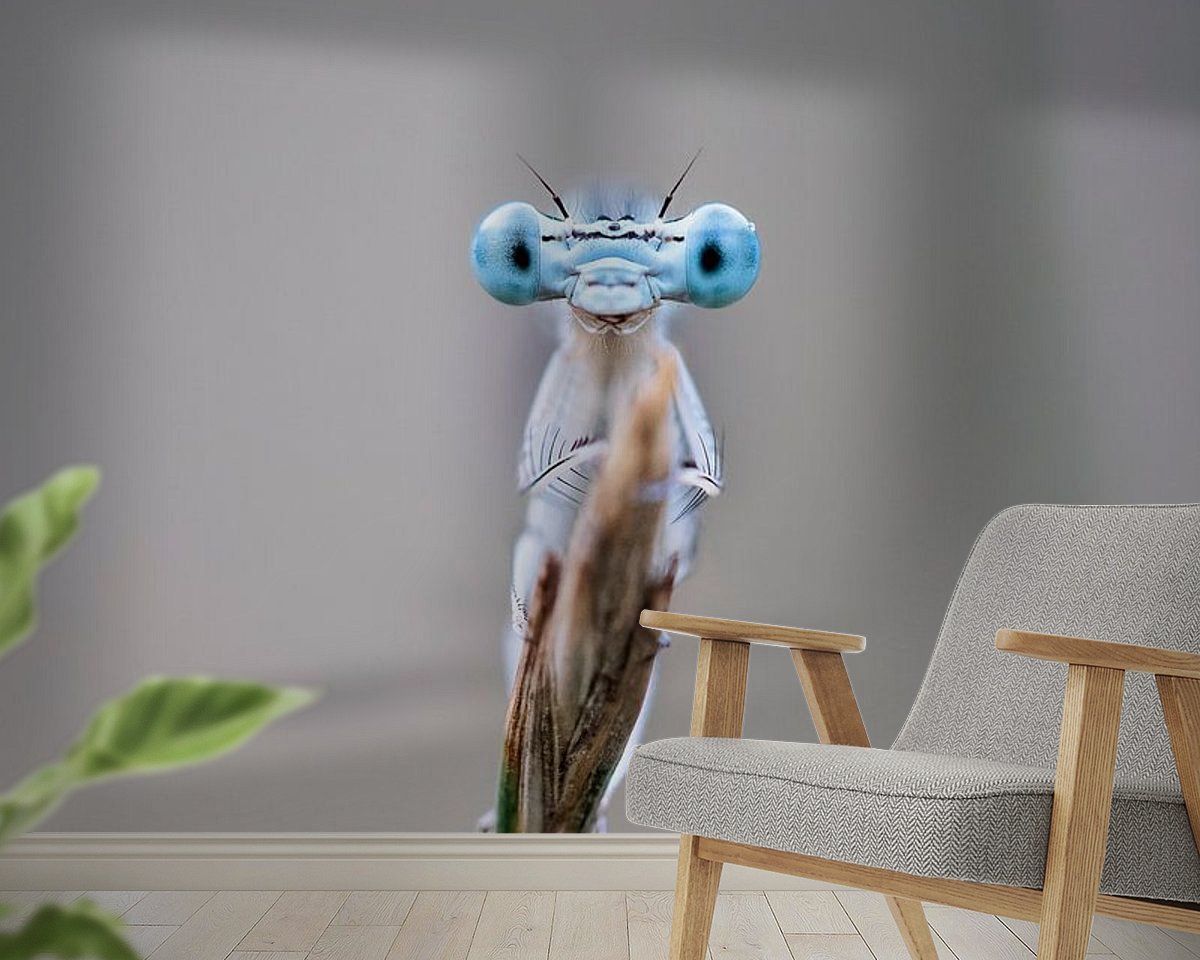 Raumvorschau