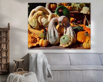 Ornamental pumpkins