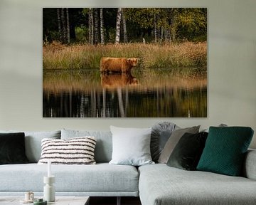 Schotse Hooglander in het water – Landgoed de Vossenberg, Wijster van KB Design & Photography (Karen Brouwer)