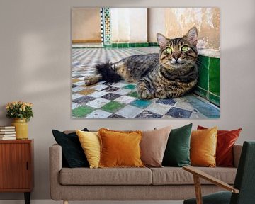 Cat in Morocco by Mariska Jumelet-Boom