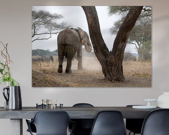 Raumvorschau