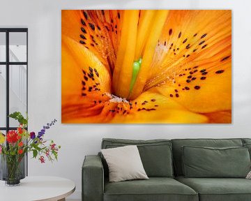 Flower petals of a lily by KiekLau! Fotografie