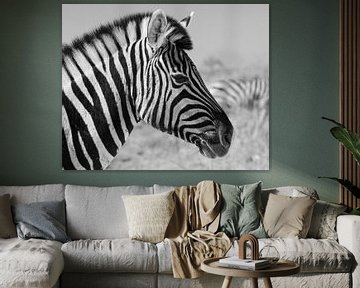 Portret van een zebra