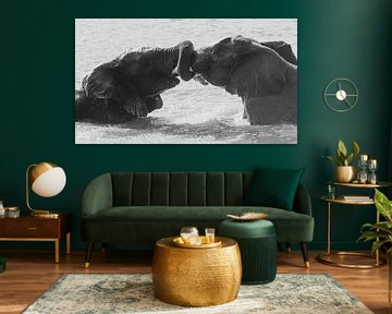 Verstrengelde olifanten  in zwartwit (1) van Lennart Verheuvel