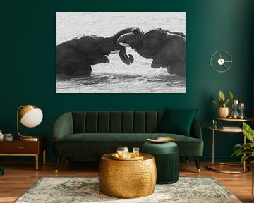 Verstrengelde olifanten  in zwartwit (2) van Lennart Verheuvel