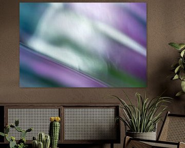 Visions fraîches - photo abstraite avec du violet sur Qeimoy