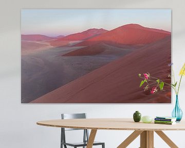 The last light on the red sand hills of Sossusvlei by Lennart Verheuvel