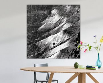 Arbre dans le parc national de Bryce Canyon en noir et blanc sur Dieter Walther