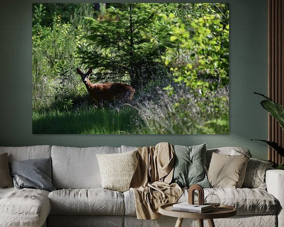 Aperçu de la chambre