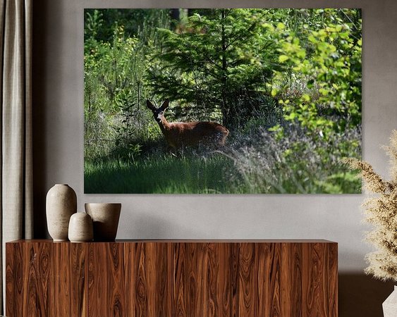 Aperçu de la chambre