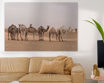 Kamelen in de woestijn | Sahara van Photolovers reisfotografie