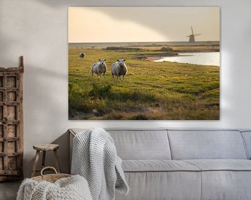 Sheep and mill at sunrise on Texel by Teun Janssen