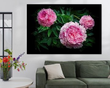 Pink peonies magic by marlika art