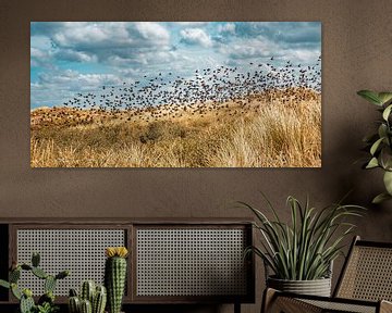 Essaim d'oiseaux au-dessus des dunes sur Yanuschka Fotografie | Noordwijk