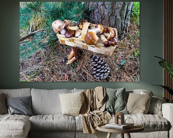 Aperçu de la chambre