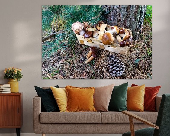 Aperçu de la chambre