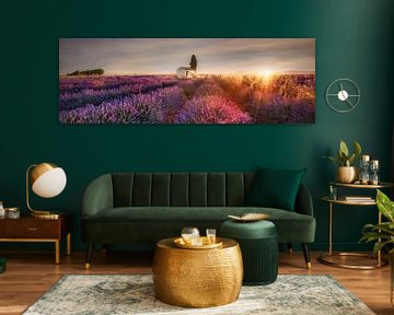 Lavendelveld in de Provence in de gloed van de zonsopgang. van Voss fotografie