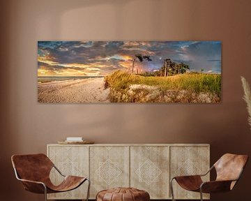 West beach on the Darß on the Baltic Sea in the sunset by Voss Fine Art Fotografie