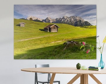 Prairies de bosses avec les montagnes du Karwendel