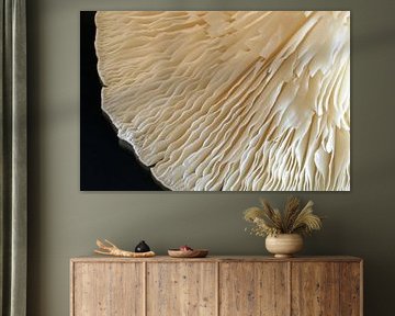 Under the cap of a mushroom