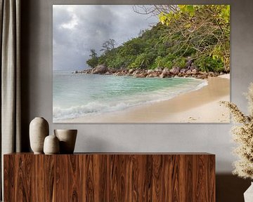 Strand op Praslin, Seychellen van Dirk Rüter