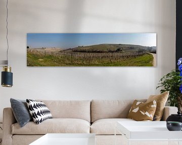 Panorama van heuvel met wijnranken in Piemonte, Italië