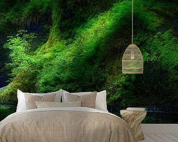 Graceful forest with waterfall in Oregon USA. by Voss photography