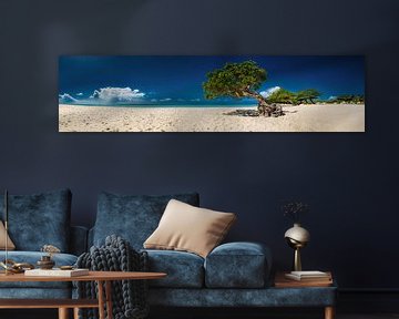 Baum am Eagle Beach Strand auf Aruba in der Karibik. von Voss Fine Art Fotografie