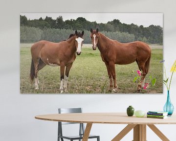 Twee paarden in overleg van Jan van der Knaap