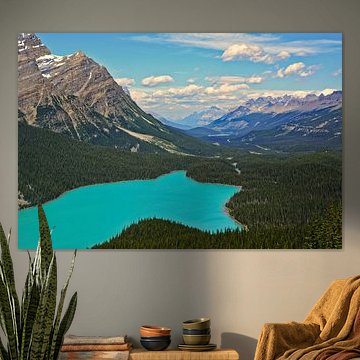 Lake Peyto, Alberta Canada