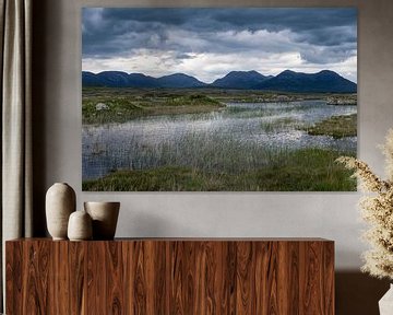 Waterlelies en bergen in Ierland van Hanneke Luit