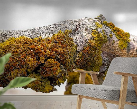 Raumvorschau