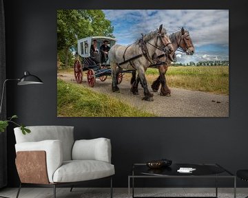 Horse and carriage by Lisette van Peenen