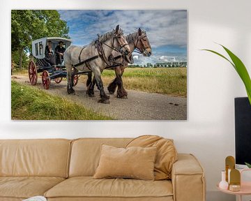Paard en wagen van Lisette van Peenen