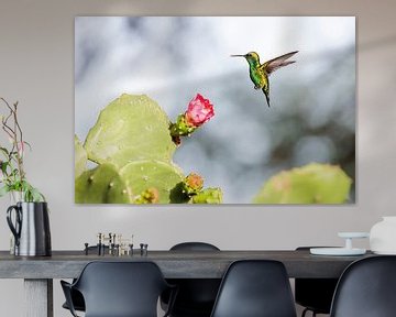 Kolibrie bij een cactusbloem van Tim Emmerzaal