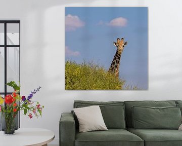 Giraffe wirft einen Blick darauf von Omega Fotografie