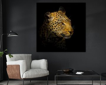 Leopard portrait by Omega Fotografie