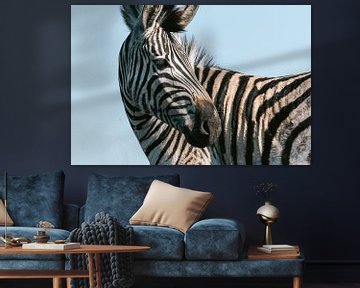 Close-up van een zebra van Suzanne Spijkers