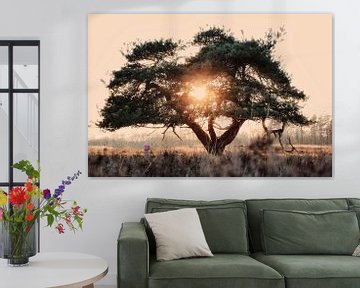 sunset tree van Jacco Richters