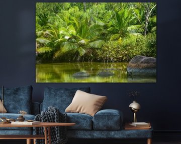 Palmen auf den Seychellen von Bettina Schnittert